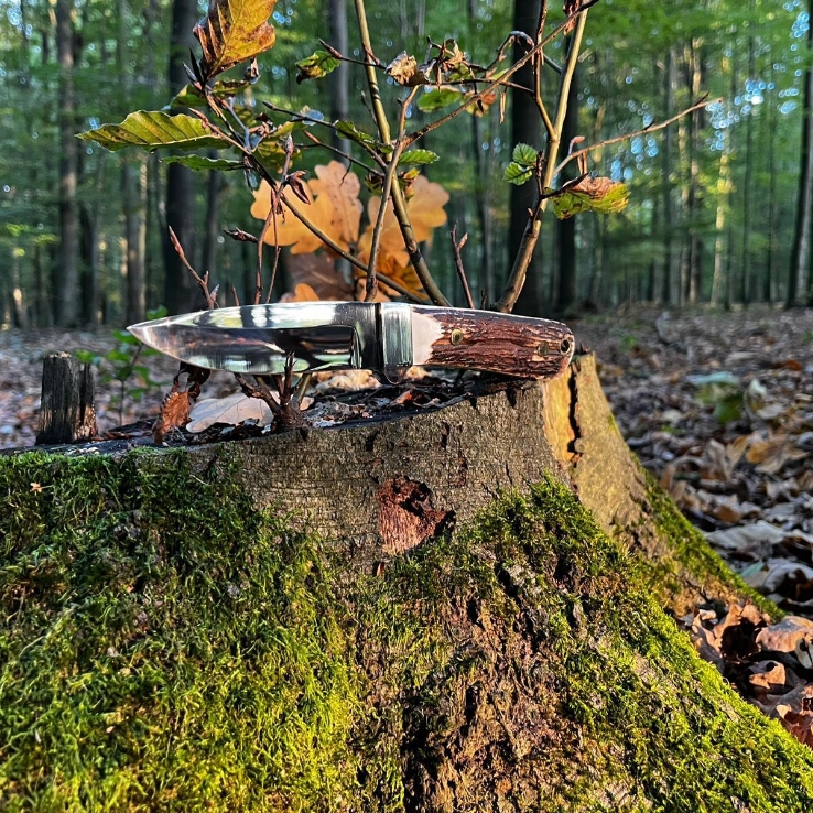 Nóż z rękojeścią z poroża umieszczony na pniu drzewa w lesie, w otoczeniu zielonego mchu i jesiennych liści. Nóż z rękojeścią z poroża umieszczony na pniu drzewa w lesie, w otoczeniu zielonego mchu i jesiennych liści.